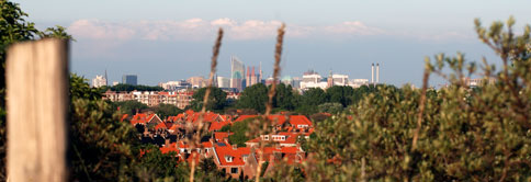 haagse duinen